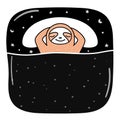 Funny cartoon sloth sleeping in the bed vector illustration