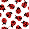 Cute ladybug seamless pattern. Seamless background with ladybug. Royalty Free Stock Photo