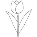 tulip coloring page. It is suitable for use in children\'s coloring books Royalty Free Stock Photo