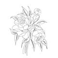 flower drawing and sketch with black . Royalty Free Stock Photo