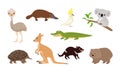 Cute Australian animals set. Vector illustration. Royalty Free Stock Photo