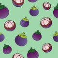 Mangosteen pattern seamless vector on green color background Royalty Free Stock Photo
