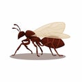 Flying ant animal species cartoon illustration vector Royalty Free Stock Photo