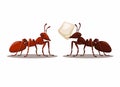 Black and Red Ant animal character cartoon illustration vector Royalty Free Stock Photo