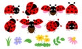 Cute cartoon ladybug collection with flowers and leaves, red beetle with dots Royalty Free Stock Photo