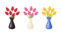 Bouquets of tulips set. Red tulip, yellow and pink flowers in vases isolated on white background. Royalty Free Stock Photo