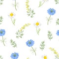 Floral background. Seamless pattern with daisies, wormwood and cornflowers. Botanical vector cartoon illustration. Royalty Free Stock Photo