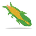 icon vegetables of corn