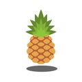 fruits symbol icon Royalty Free Stock Photo