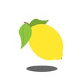 fruits symbol icon Royalty Free Stock Photo