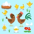 Chicken bundle of roosters, hens and chicks isolated on blue background.