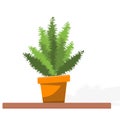 Vector of a flowering plant on the table. House plant isolated. Green fern on a ceramic container, flower plant vase