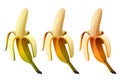 Peeled banana. Banana without peel. Green, ripe and overripe bananas. Vector clipart.