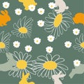 Pattern spring and rabbits. Wallpaper with chamomiles. Images of flowers and hares