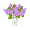 Lilac flowers in transparent glass vase isolated on white background. Royalty Free Stock Photo