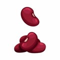 Red Beans or Red Kidney Beans Vegetable symbol set cartoon illustration vector