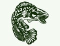 Snakehead fish channa vector illustration
