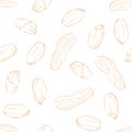 Peanuts seamless pattern. Nuts background.