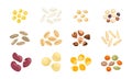 Set of different cereal grains, seeds and legumes. Royalty Free Stock Photo