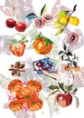 Illustration of bright and juicy summer fruits for your designs