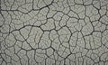 Dry and broken gray soil vector background , texture of grungy dry cracking parched Royalty Free Stock Photo