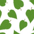 Green nettle leaves seamless pattern. Botanical background.