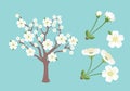 White cherry blossom set. Simple flat vector illustration