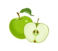 Green apple whole and slice. Vector cartoon illustration