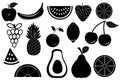 Set of vector icons of various fruits and berries.