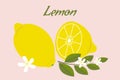 Fresh organic yellow lemon with a slice, and a blooming lemon twig with green leaves and flowers Royalty Free Stock Photo
