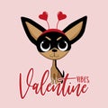 Valentine vibes - cute Chihuahua dog with hearts