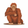 Orangutan Animal Species Cartoon Illustration Vector Royalty Free Stock Photo