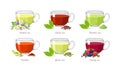 Tea collection. Set of different types of tea in glass cups.