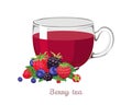 Wild berry tea. Glass cup with hot drink and fresh berries.