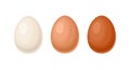 Set of chicken eggs isolated. White, light brown and dark egg. Royalty Free Stock Photo