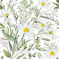 Seamless pattern with flowers - Chamomilla, Achillea Millefolium and grass isolated on white background.