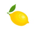 Whole lemon isolated on white background. Vector cartoon flat illustration. Yellow tropical citrus fruit. Royalty Free Stock Photo