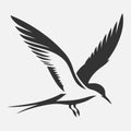 Majestic Tern Silhouette Soaring Across the Sky Royalty Free Stock Photo