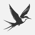 Majestic Tern Silhouette Soaring Across the Sky Royalty Free Stock Photo
