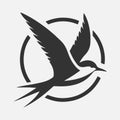 Majestic Tern Silhouette Soaring Across the Sky Royalty Free Stock Photo