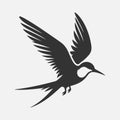 Majestic Tern Silhouette Soaring Across the Sky Royalty Free Stock Photo