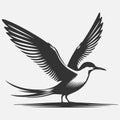 Majestic Tern Silhouette Soaring Across the Sky Royalty Free Stock Photo