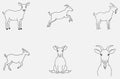 Masterful Goat Line Art Collection Royalty Free Stock Photo