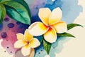 Plumeria watercolor art and illustration Generative AI Royalty Free Stock Photo