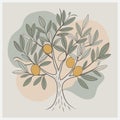 Majestic Olive Tree Vector Illustration, Timeless Symbol of Mediterranean Elegance Royalty Free Stock Photo