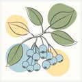 Vibrant Chokeberry Fruit Vector Illustration - High-Quality, Detailed Design for Creative Projects Royalty Free Stock Photo