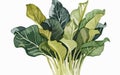 Watercolor Illustration of Arum spinach, Botanical Illustration, Flowers, Generative AI Royalty Free Stock Photo