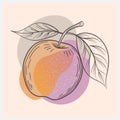 Legato Fruit Vector Illustration , A Harmonious Blend of Freshness and Art Royalty Free Stock Photo