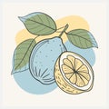 Legato Fruit Vector Illustration , A Harmonious Blend of Freshness and Art Royalty Free Stock Photo