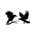 Crow Silhouette Set with Flying and Landing Poses Royalty Free Stock Photo